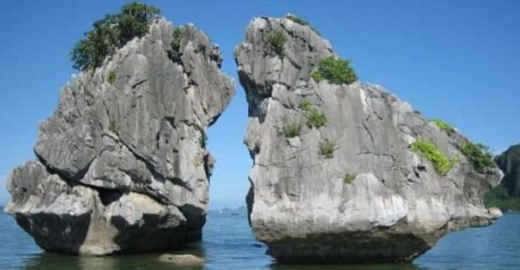 From Hanoi: Ha Long Bay Cruise W/ Kayaks, Lunch, & Transfer - Experience Highlights