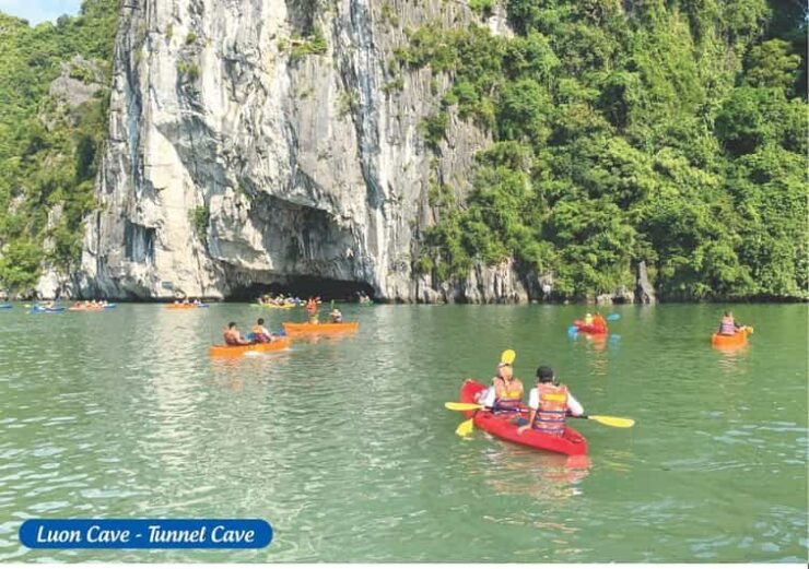 From Hanoi: Ha Long Bay Day Trip Tour - Pricing and Booking Details