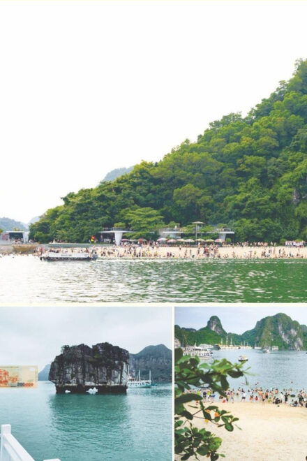 From Hanoi: Ha Long Bay Day Trip Tour - Preparation for the Trip