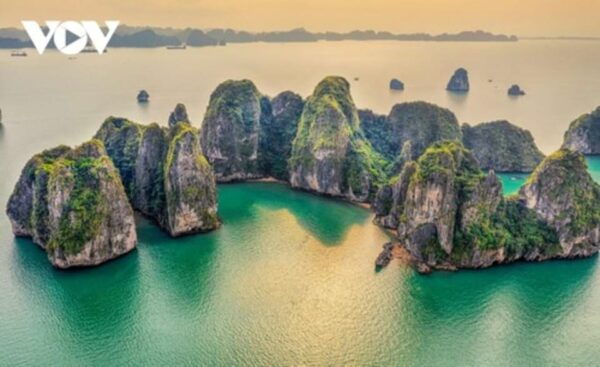 From Hanoi: Ha Long Bay Day Trip Tour - Local Cuisine Experience