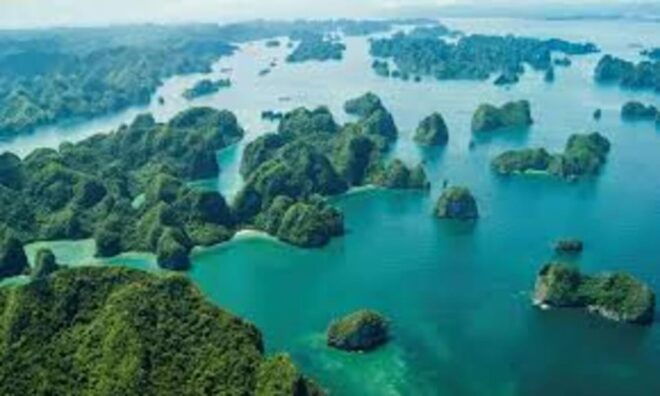From Hanoi: Ha Long Bay Day Trip With Kayaking Group/Privare - Experience Highlights