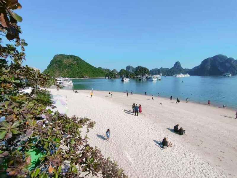 From Hanoi: Ha Long Bay Luxury Day Cruise with Food & Kayak - Final Thoughts  