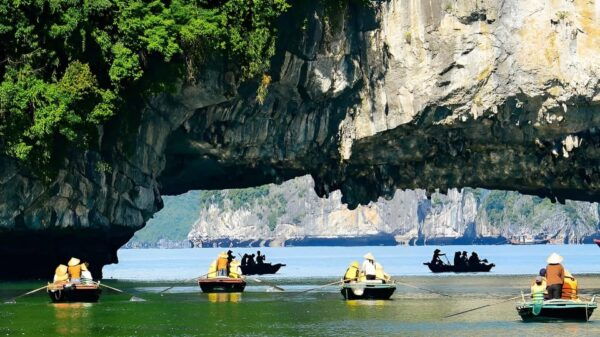 From Hanoi: Halong Bay Cruise With Lunch and Kayaking - Accessibility Considerations