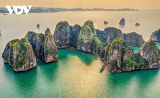 From Hanoi: Halong Bay Day Trip With Deluxe Cruise - Onboard Experience