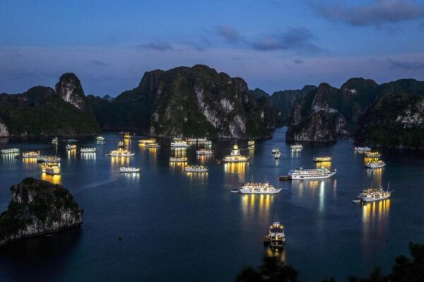 From Hanoi: Halong Bay Day Trip With Deluxe Cruise - Customer Reviews and Testimonials
