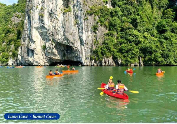 From Hanoi: Halong Bay Deluxe Cruise & Kayak Expedition - The Sum Up