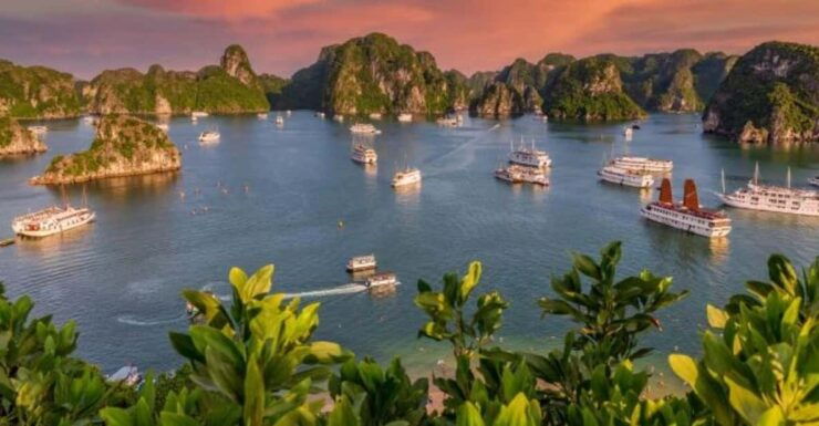 From Hanoi: Halong Bay, Titop Island, Sung Sot & Luon Caves - Included Services