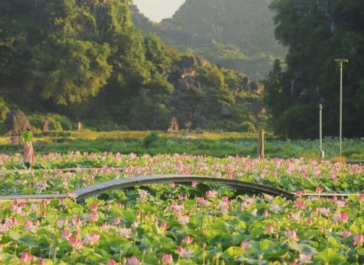 From Hanoi: Hoa Lu / Bai Dinh & Bich Dong & Thung Nham - Highlights of the Tour