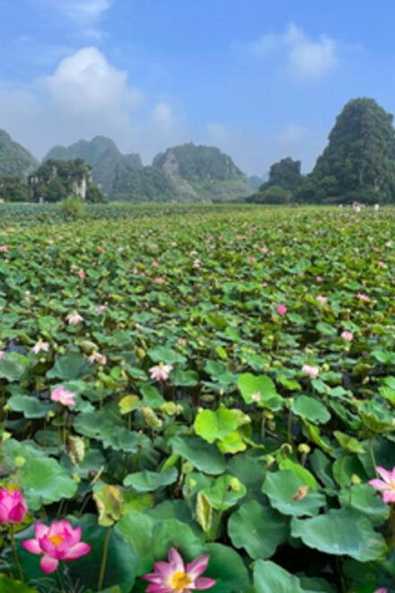 From Hanoi: Hoa Lu / Bai Dinh & Bich Dong & Thung Nham - Detailed Itinerary