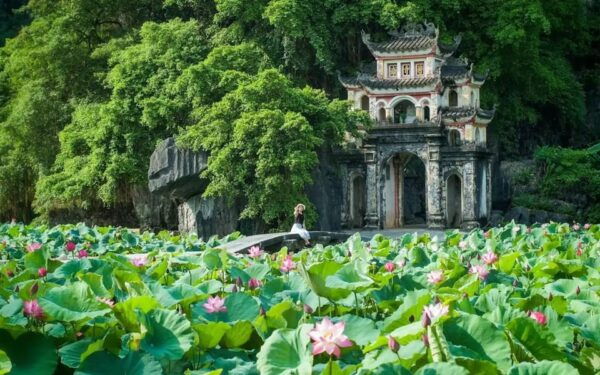 From Hanoi: Hoa Lu / Bai Dinh & Bich Dong & Thung Nham - The Sum Up