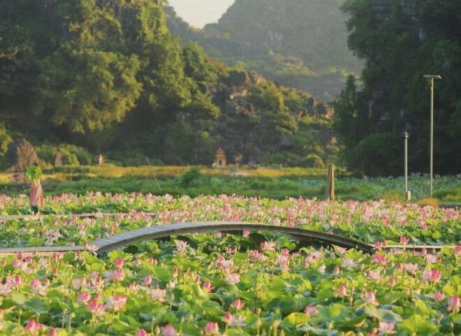 From Hanoi: Hoa Lu / Bai Dinh & Bich Dong & Thung Nham - Cycling Through Bich Dong