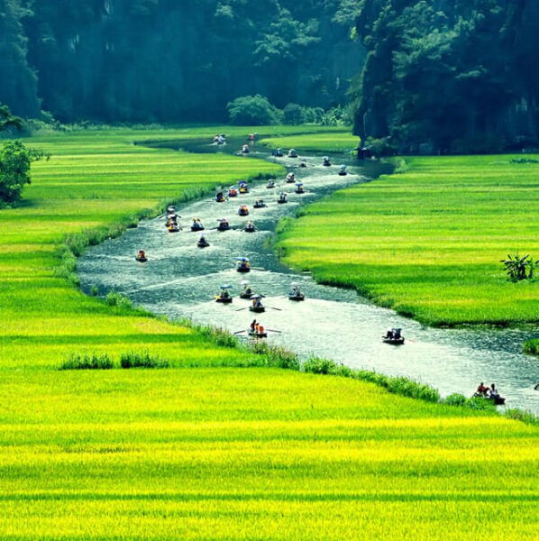 From Hanoi: Hoa Lu, Tam Coc and Mua Cave Full-Day Trip - Tips for Travelers