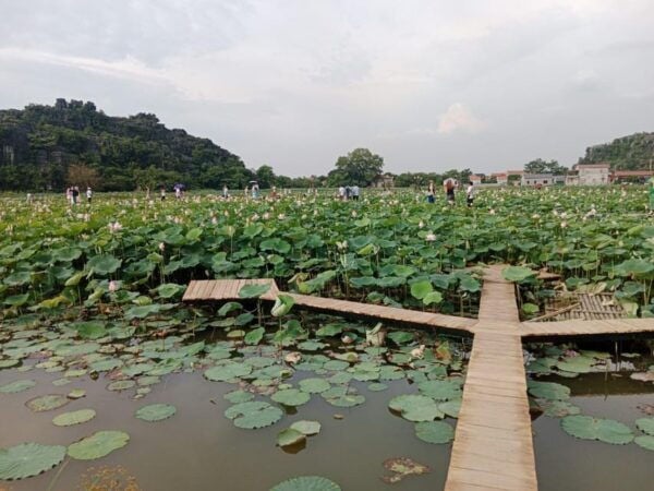 From Hanoi: Hoa Lu, Trang An, and Mua Cave Full Day - What to Bring