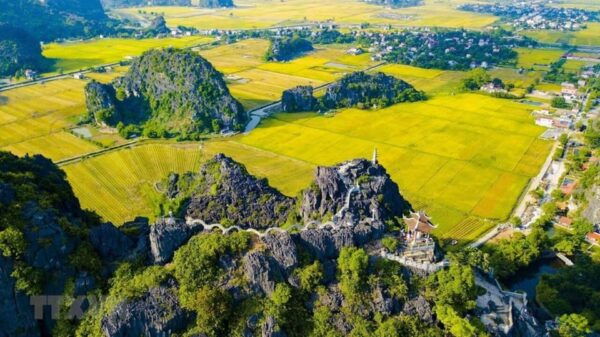 From Hanoi: Hoa Lu, Trang An, Mua Cave & Ninh Binh Day Trip - Additional Recommendations