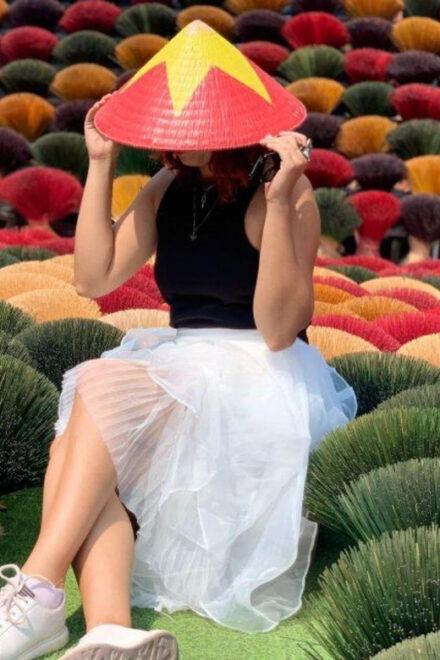 From Hanoi: Incense Village 1 Day Trip - Accessibility Features