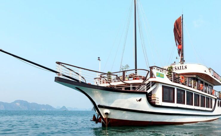 From Hanoi: Lan Ha and Ha Long Bay Day Cruise - Highlights of the Cruise Experience