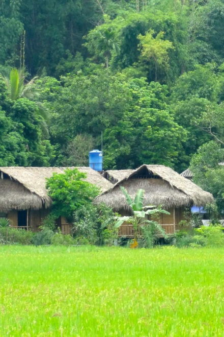 From Hanoi: Mai Chau - Pu Luong 3 Days 2 Nights - Day 3 Activities