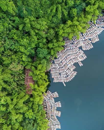 From Hanoi: Mua Cave, Trang An and Hoa Lu Day Trip - Experience and Activities