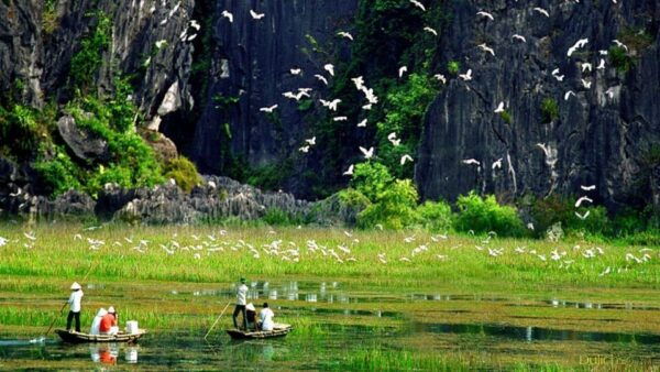 From Hanoi: Ninh Binh 2-Day Tour With Hoa Lu and Tam Coc - Booking and Cancellation Policies