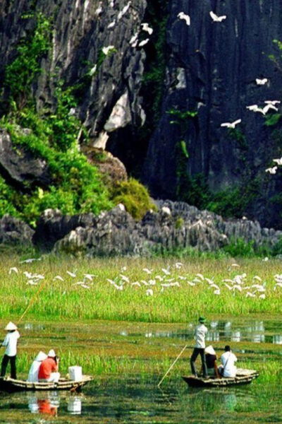 From Hanoi: Ninh Binh 2-Day Tour With Hoa Lu and Tam Coc - Frequently Asked Questions