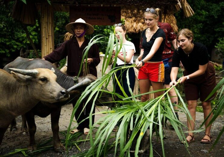 From Hanoi: Ninh Binh 3-Day Unique Trip With Buffalo Cave - Experiences and Activities