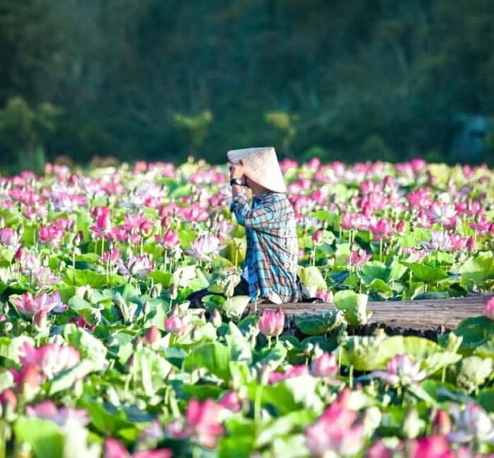 From Hanoi: Ninh Binh Bai Dinh or Hoa Lu, Trang An, Mua Cave - The Sum Up: Who is This Tour Perfect For?