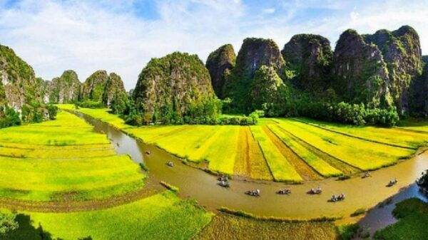 From Hanoi: Ninh Binh, Bai Dinh, Trang An & Mua Caves Tour - Important Information for Travelers