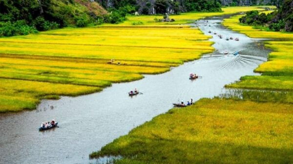 From Hanoi: Ninh Binh, Bai Dinh, Trang An & Mua Caves Tour - Additional Notes and Considerations