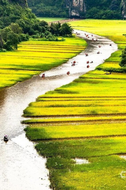 From Hanoi: Ninh Binh & Bai Dinh & Trang An & Mua Caves Tour - Trang An Boat Ride