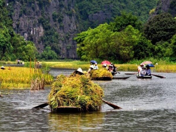 From Hanoi: Ninh Binh & Cuc Phuong National Park 2-Day Tour - Similar Tour Options