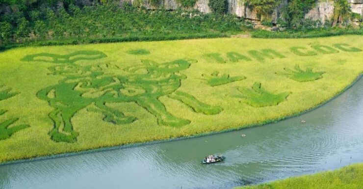 From Hanoi: Ninh Binh & Cuc Phuong National Park In 2 Days - Good To Know