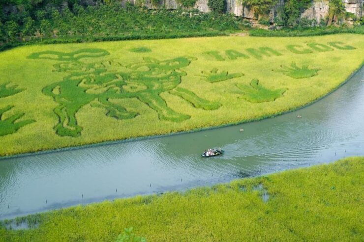 From Hanoi: Ninh Binh & Cuc Phuong National Park In 2 Days - Itinerary Highlights