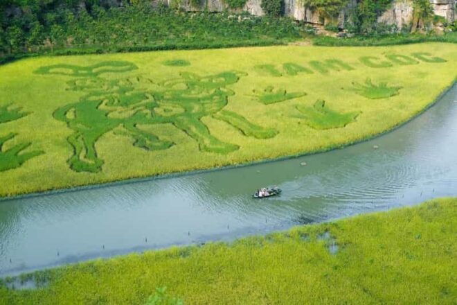 From Hanoi: Ninh Binh & Cuc Phuong National Park In 2 Days - Accommodation and Meals