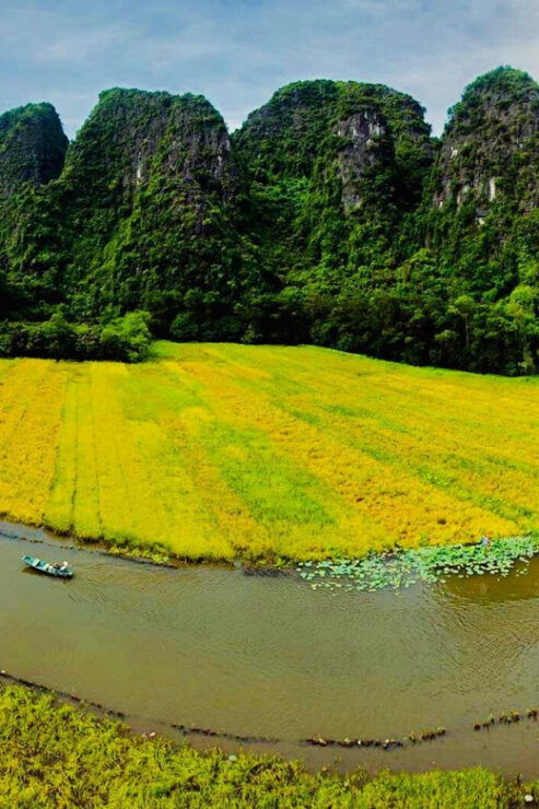 From Hanoi: Ninh Binh Day Trip (Hoa Lu- Trang An- Mua Cave). - Overview of the Day Trip