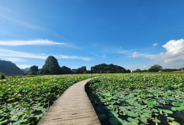 From Hanoi: Ninh Binh Day Trip With Lunch and Boat Ride - Frequently Asked Questions