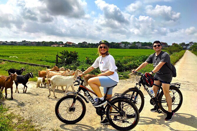 From Hanoi: Ninh Binh Highlights 2 Day 1 Night Small Group Tour - A Deep Dive Into the Ninh Binh Experience