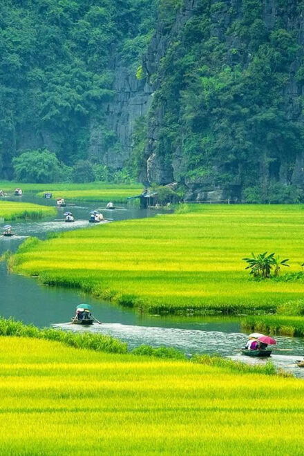 From Hanoi: Ninh Binh, Hoa Lu, Tam Coc and Mua Cave - Inclusions and Exclusions