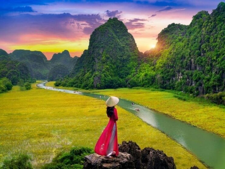 From Hanoi: Ninh Binh - Hoa Lu - Tam Coc With Limousine - Experience and Activities