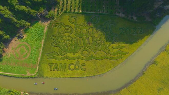 From Hanoi: Ninh Binh Private Tour 2 Days 1 Night - Departure and Return Details