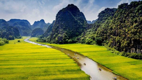 From Hanoi: Ninh Binh Province Day Trip With Buffet Lunch - Local Attractions and Activities