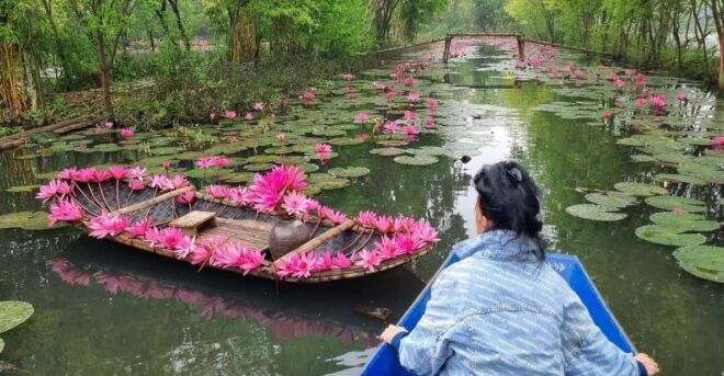 From Hanoi: Perfume Pagoda Full Day - Highlights of the Tour Experience