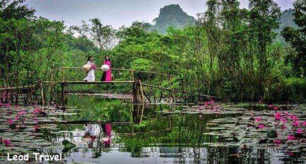 From Hanoi: Perfume Pagoda Full Day - What to Expect on the Day