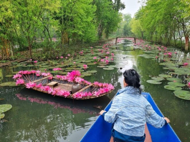 From Hanoi: Private Perfume Pogoda With Lunch - Vietnamese Culinary Delights