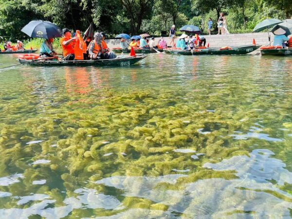 From Hanoi: Private Tour to Ninh Binh - Bai Dinh & Trang An - What to Bring