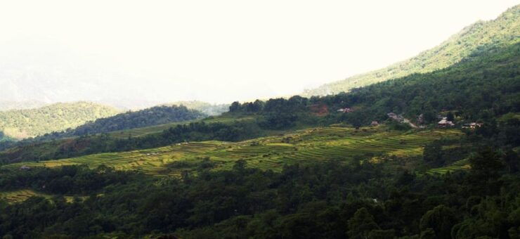 From Hanoi: Pu Luong 2 Days Journey to Beautiful Nature. - Itinerary Highlights