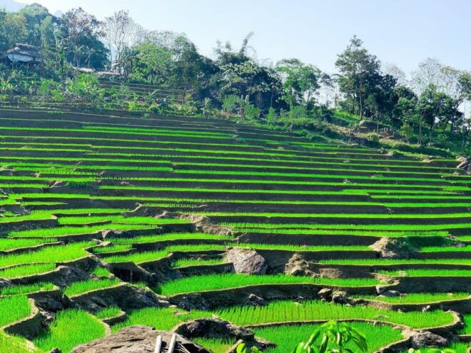 From Hanoi: Pu Luong 2 Days Journey to Beautiful Nature. - Included Services and Amenities