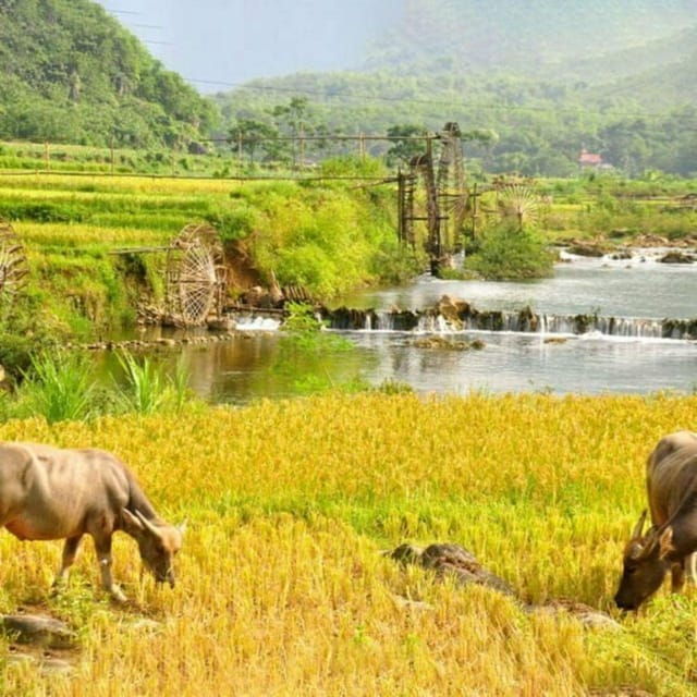 From Hanoi: Pu Luong 3D2N Jungle Ride Motorbike Tour - Preparation for the Tour