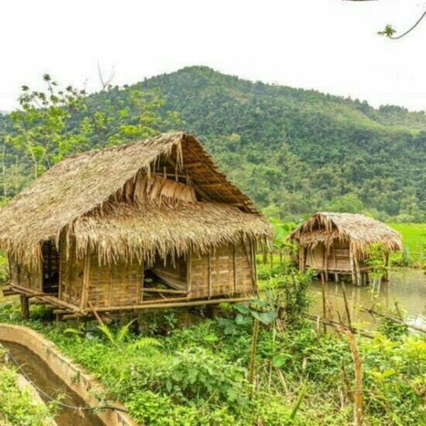 From Hanoi: Pu Luong 3D2N Jungle Ride Motorbike Tour - Frequently Asked Questions