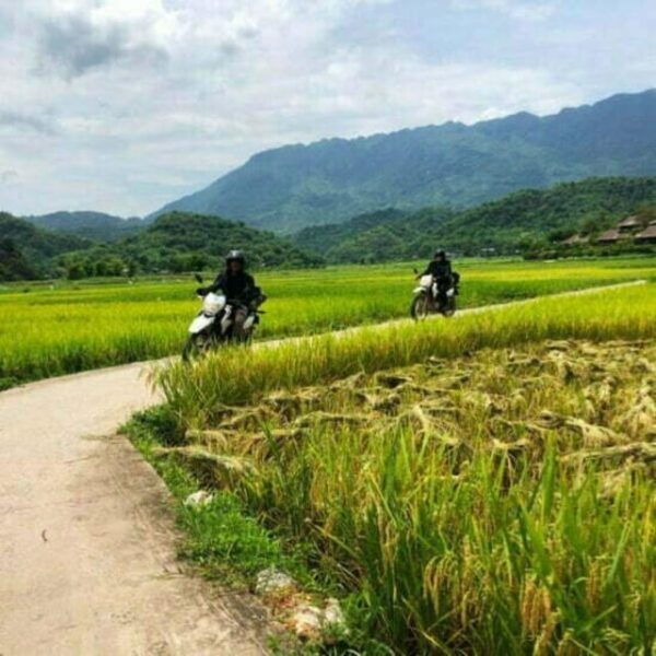 From Hanoi: Pu Luong Nature Reserve Motorbike Tour - 2D1N - Booking Information