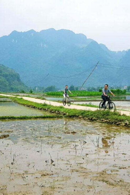 From Hanoi: Pu Luong Nature Reserve Vacation 2D1N - Good To Know